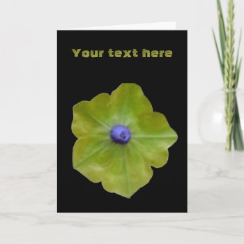 Petunia Green And Blue Custom Greeting Card by Fallen_Angel_483 at Zazzle