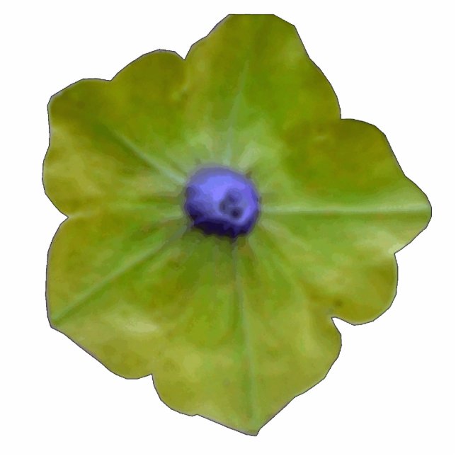 Petunia Green and Blue Photo Sculpture (Front)