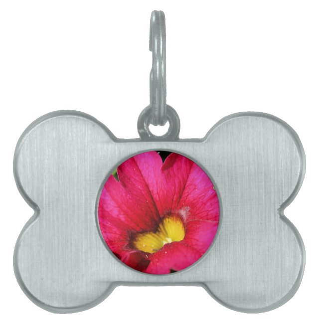 Petunia Pet Tag (Front)