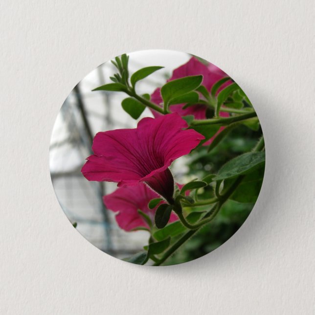 Petunia Pinback Button (Front)