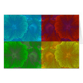 Petunia Pop (Front Horizontal)