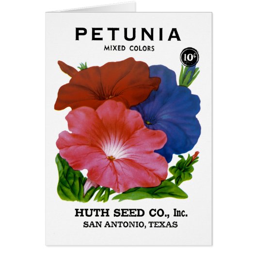 Petunia Vintage Seed Packet Cards (Front)