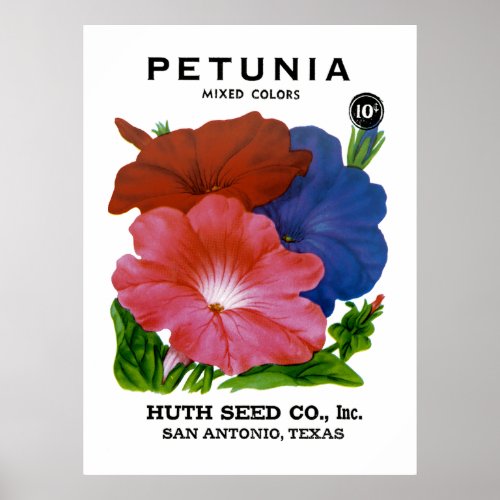 Petunia Vintage Seed Packet Poster
