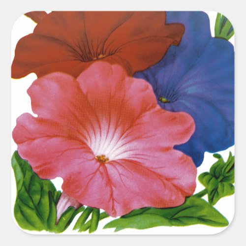 Petunia Vintage Seed Packet Square Sticker