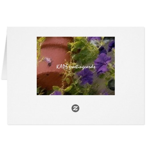 Petunias (Back Horizontal)