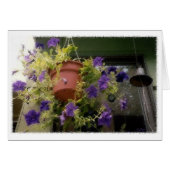 Petunias (Front Horizontal)