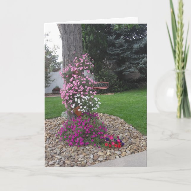 Petunias Birthday Card (Front)