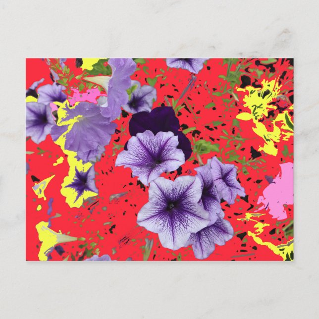 Petunias Bright Background Postcard (Front)
