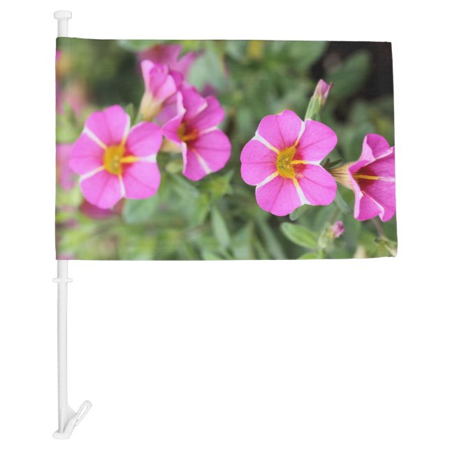 Petunias Car Flag (Front)