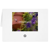 Petunias Cards (Back Horizontal)