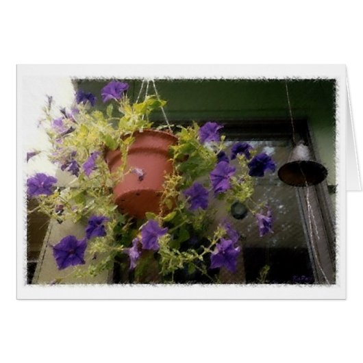 Petunias Cards (Front Horizontal)
