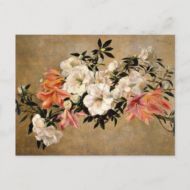 Petunias - Henri Fantin-Latour artwork Postcard (Front)