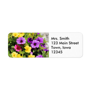 Petunias Label