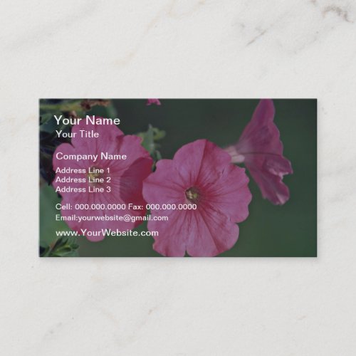 Petunias Pink flowers Business Cards
