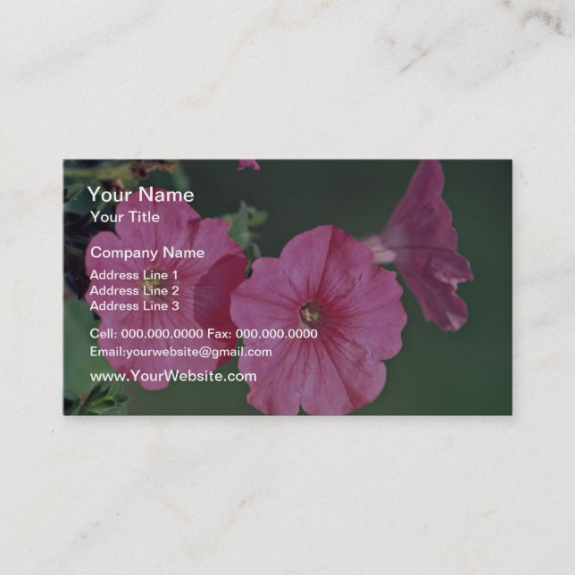 Petunias Pink flowers Business Card (Front)