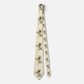 Pewit Flycatcher, Phoebe, Audubon Birds of America Neck Tie