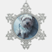 Pewter Snowflake Oranament