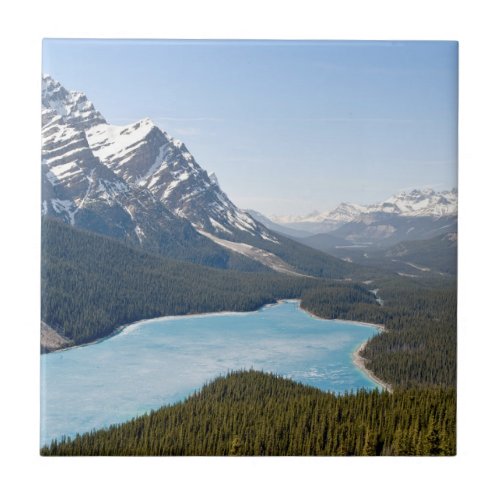 Peyto Lake _ Banff National Park Alberta Canada Ceramic Tile