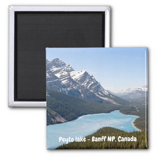 Peyto Lake _ Banff National Park Alberta Canada Magnet