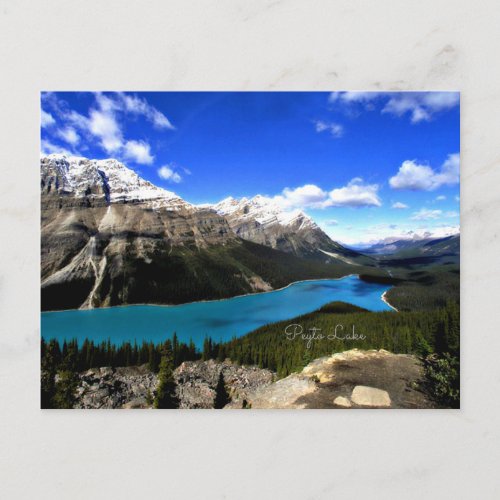 Peyto Lake Canadian Rockies Postcard