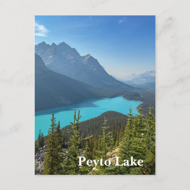 Peyto Lake in Banff Canada Postcard (Front)