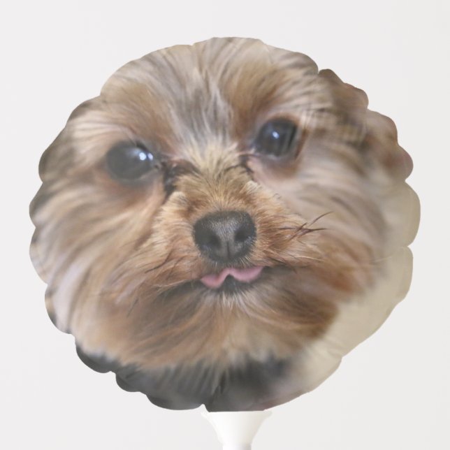 Pfft Balloon (Front)