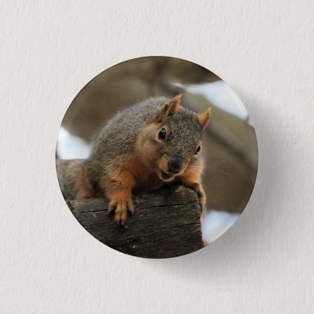 Pfft Button (Front)