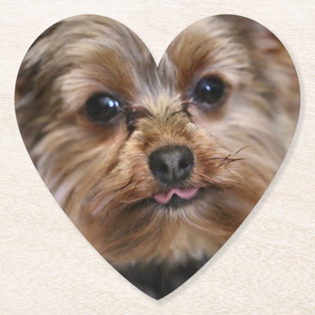 Pfft! Paper Coaster (Front)