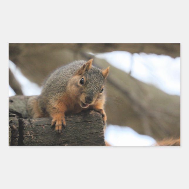 Pfft Rectangular Sticker (Front)