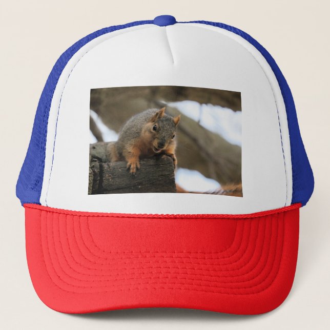 Pfft  trucker hat (Front)