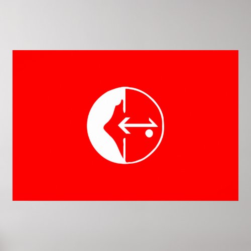 Pflp Colombia Political flag Poster