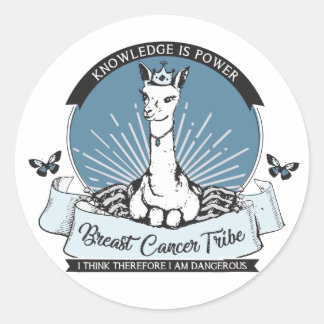 PG stickers; multiple colors and sizes Classic Round Sticker