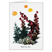 Phaedra's Phantasies - Under the Sea (Front)