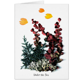 Phaedra's Phantasies - Under the Sea Cards