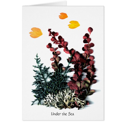 Phaedra's Phantasies - Under the Sea Cards (Front)