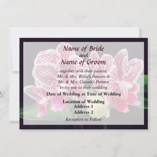 Phal Taida Little Zebra Orchid Wedding Products Invitation