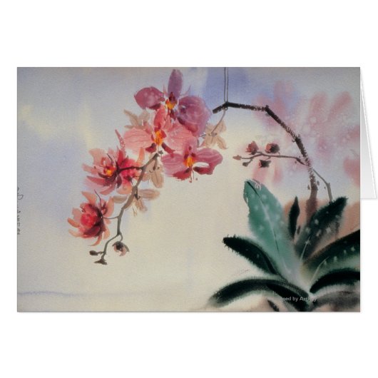Phalaenopsis Cards (Front Horizontal)