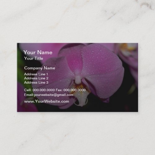 Phalaenopsis flowers business cards