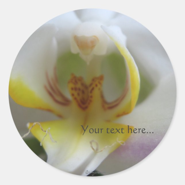 Phalaenopsis Magic White Wedding Invitation Seals (Front)