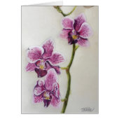 Phalaenopsis "Moth Orchid" 5" x 7", with envelope (Front)