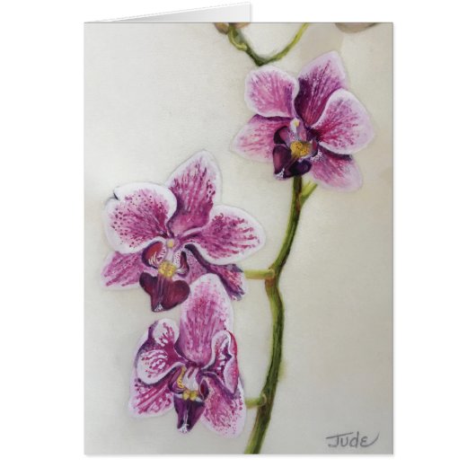 Phalaenopsis "Moth Orchid" 5" x 7", with envelope Cards (Front)