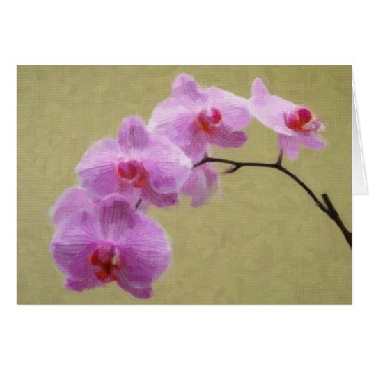 Phalaenopsis Orchid Cards (Front Horizontal)