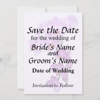 Phalaenopsis Orchids Large and Small Save The Date