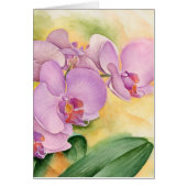 Phalaenopsis Orchids Pink Purple Flowers (Front)