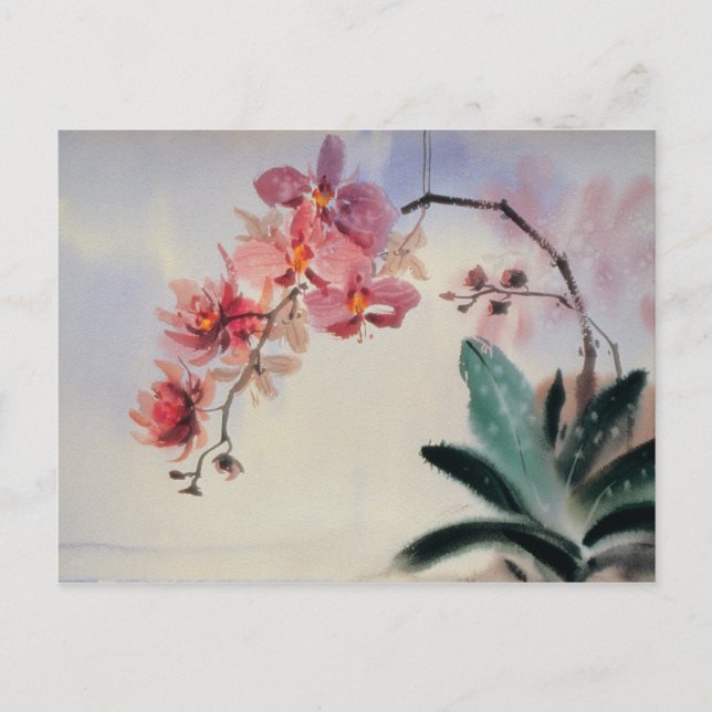 Phalaenopsis Postcard (Front)