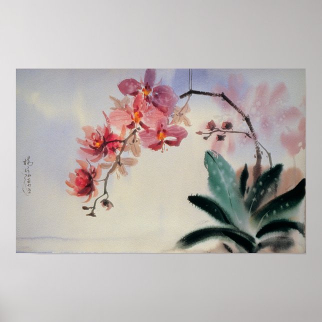 Phalaenopsis Poster (Front)