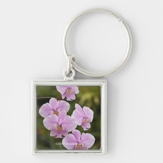 Phalaenopsis Schilleriana Keychain (Front)
