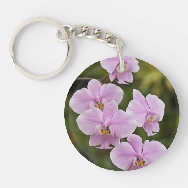 Phalaenopsis Schilleriana Keychain (Front)