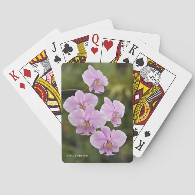Phalaenopsis Schilleriana Poker Cards (Back)