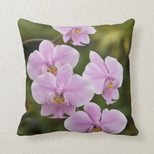 Phalaenopsis Schilleriana Throw Pillow